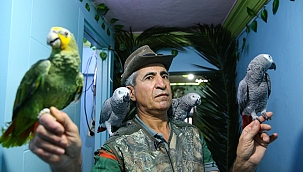 Güvercin Oteli'nden sonra Papağan Oteli de açıldı!