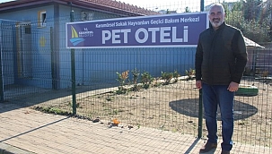 Sokak hayvanlarına deniz manzaralı otel