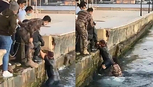Ortaköy'de selfie çeken turist denize düştü, Özel Harekat Polisi kurtardı