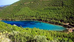 Bodrum'un dünyaca ünlü koyu halk plajı oluyor