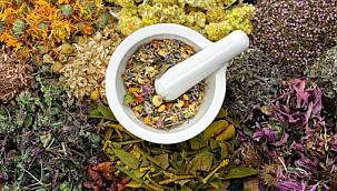 Kültür ve Turizm Bakanlığı açıkladı! İşte akciğere iyi gelen ve romatizmayı bitiren bitkiler