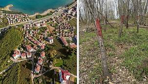 Ağaçların kesilerek otel, kule ve restoran yapılmasına tepki!