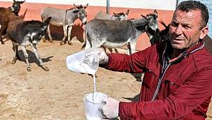 Turizmi bıraktı eşek sütü satmaya başladı! Siparişlere yetişemiyor