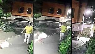 Antalya'daki 5 yıldızlı otelin müdürü İngiliz kadın turisti darp edip yerde sürükledi!
