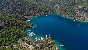 Ormanlar dahil kamu arazileri imar planı gerekmeksizin lüks çadır turizmine açıldı