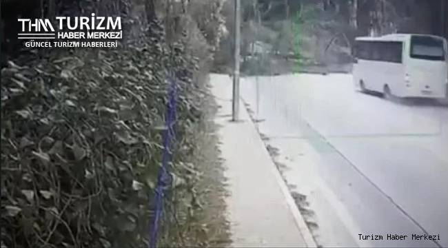 Dev ağaç otelin personel servisi geçerken yola devrildi!