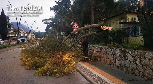 Marmaris'teki otelde korku dolu anlar!