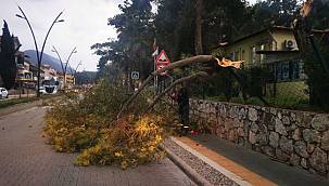 Marmaris'teki otelde korku dolu anlar!
