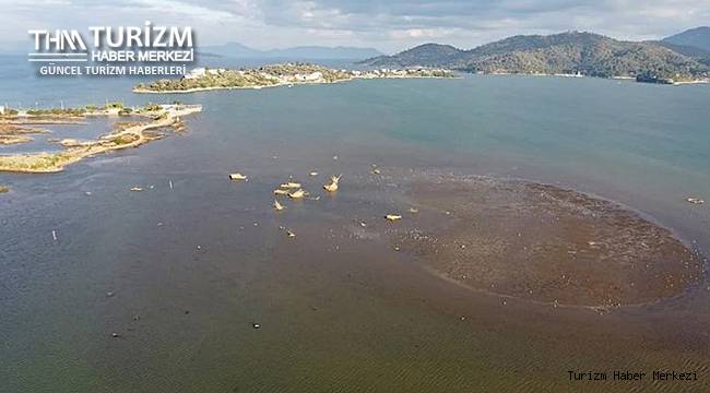 Fethiye'de deniz suyu çekildi, adacıklar oluştu!