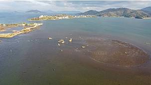 Fethiye'de deniz suyu çekildi, adacıklar oluştu!