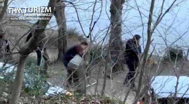 Piknikçilerle oduncular arasında baltalı sopalı meydan savaşı! 7 yaralı, 11 gözaltı