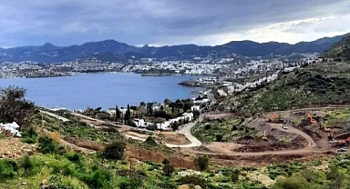 Akdeniz foklarının barınma alanı otel için ranta kurban gitti!