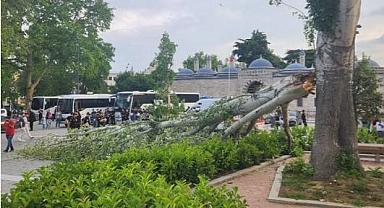 İstanbul'da turist rehberi devrilen ağacın altında kaldı!