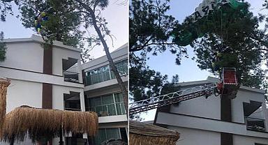 İpi kopan deniz paraşütündeki 2 kişi otel bahçesine düştü!