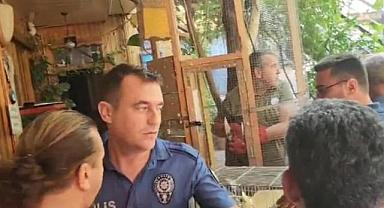 Antalya'daki otelde papağan ve kanarya davası! DKMP görevlileri ile otel sahibi birbirine girdi