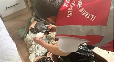 Otele kaçak sülük baskını! Rekor ceza kesildi