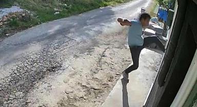 Alanya'daki kedi ve köpeklerin barındığı otele silahlı saldırı! İki şarjör boşalttı yetmedi...