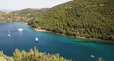 Bodrum'da tartışma yaratacak imar planı değişikliği! 76 bin metrekare orman turizm alanına çevrildi