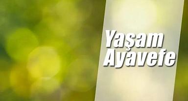 Yaşam Ayavefe ile Biyoteknolojide Yeni Ufuklar: Genetik Mühendisliği