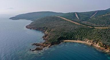 Resmi Gazete'de yayımlandı! Devlet ormanları turizm tahsisine açıldı