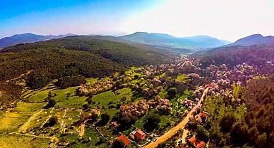 Yazın halkın girişine izin verilmeyen ormanlık alana konaklamalı orman parkı yapılacak!