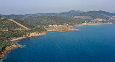 Deniz kenarındaki ormanlık alanların turizme tahsisi ile ilgili flaş karar! Resmi Gazete'de yayımlandı
