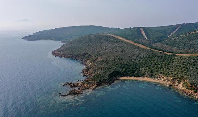 Kıyı kenar çizgisindeki orman alanları ile ilgili önemli düzenleme! Resmi Gazete'de yayımlandı