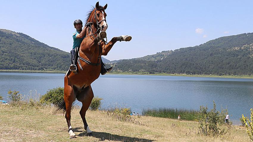 Abant Tabiat Parkı atlı timlere emanet