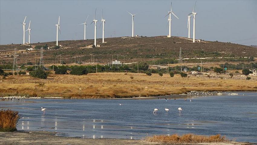Kuşlar Alaçatı’ya turist getirecek