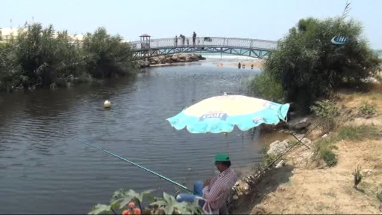 Antalya turizmine koku tehdidi