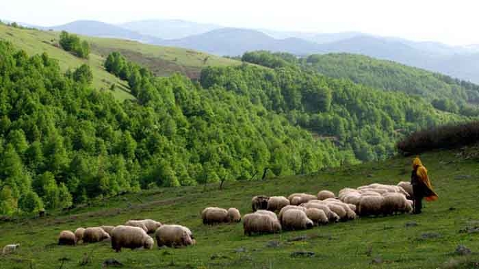 Argan Yaylası turizme kazandırılacak