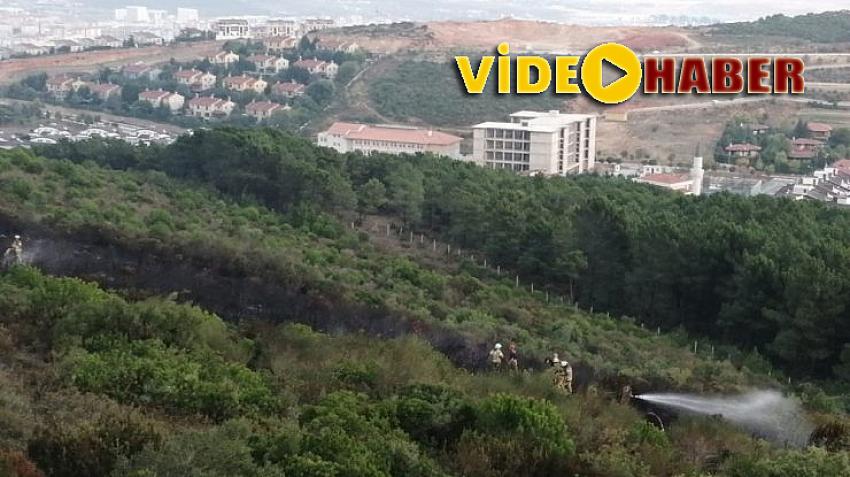 Aydos Ormanı'nı kundaklayan kişi kameralara takıldı! Kıskıvrak yakalandı