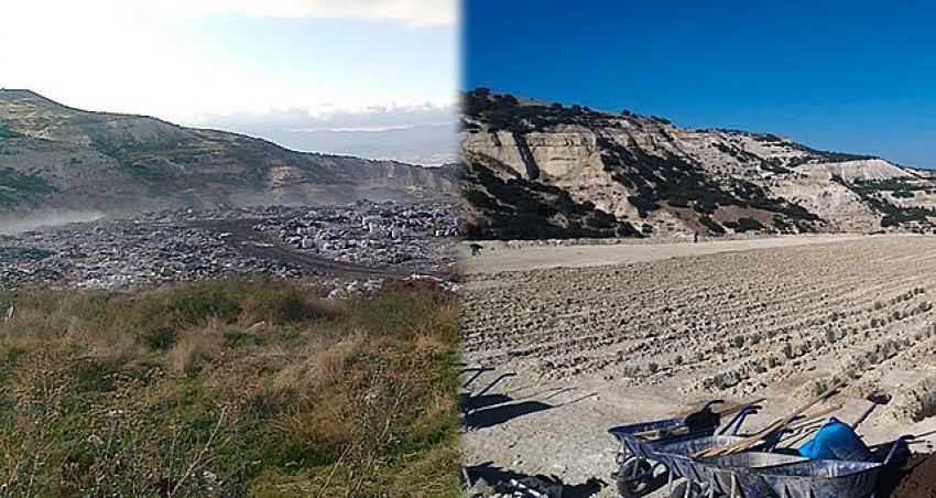 Burdur'da eski çöp alanı lavanta tarlasına dönüştü