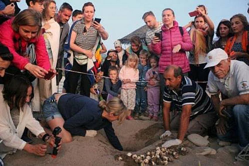 Antalya'da caretta caretta turizmi