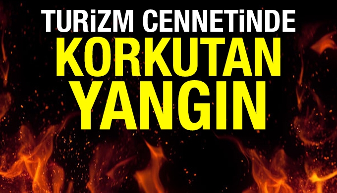 Çeşme’de yangın !