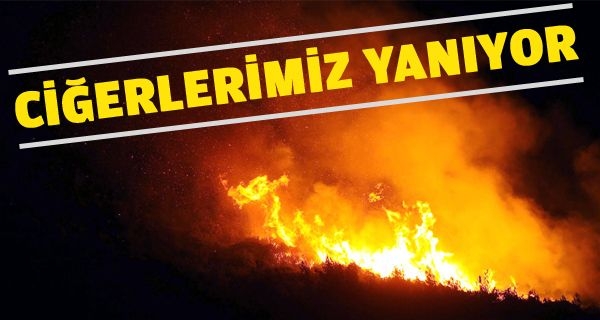 Ciğerlerimiz yanıyor