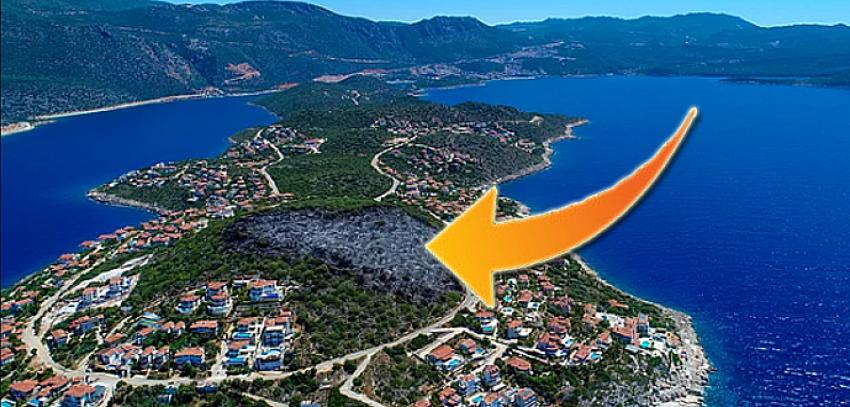 Mayıs ayında yanmış, ağaçlandırılacak denilmişti! Ekolojik turizm için imara açıldı