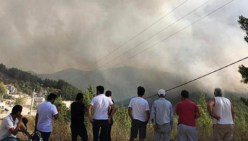 Dalaman ve Milas'ta orman yangını! Yerleşim yerleri tehdit altında