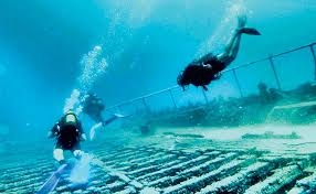 Doğa severlerden Giresun Adası dalış turizmine açılsın talebi