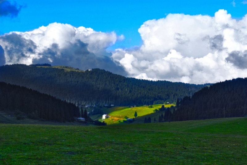 Doğaseverler Karadeniz yaylalarında huzur buluyor