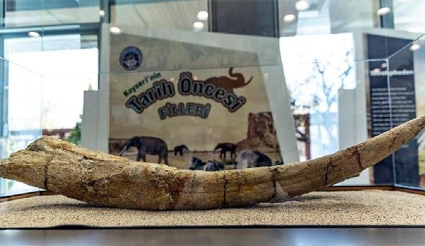 Dünyada benzeri yok, Kayseriʹde bulundu! Tam 7,5 milyon yıllık