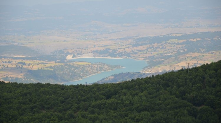 İbecik Yaylası turizme kazandırılacak