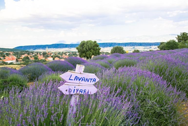 Ispartaʹda gül ve lavanta sezonunda turistlere butik konaklama hizmeti