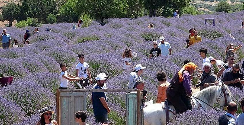 Lavanta turizmi bayram tatilinde rekor kırdı