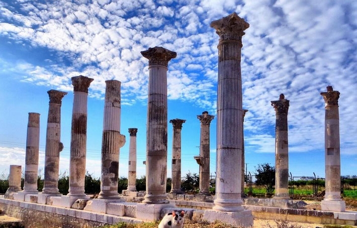 Mersin Soli Pompeiopolis, Dünya Kültür Mirası Listesiʹne aday