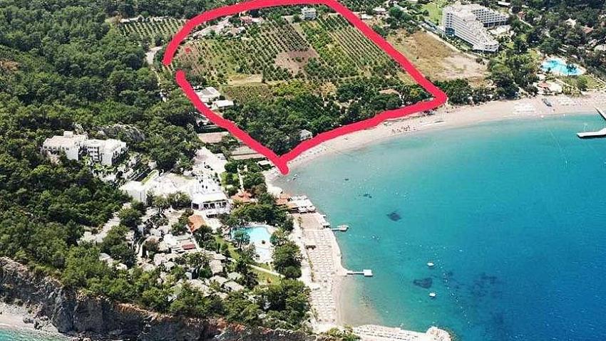 Portakal ağaçlarının arasına otel projesi Meclis gündeminde