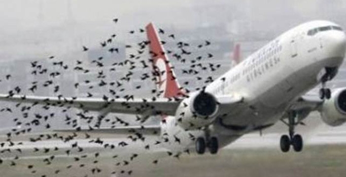 Sabiha Gökçen Havalimanıʹndan kalkan uçakta korku dolu anlar