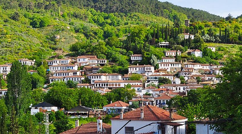 Turistik ilçede mermer ocağı projesine onay verildi! Binlerce zeytin ağacı kesilecek