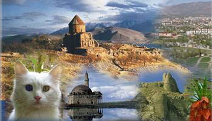Turizm sezonunun startı Vanʹdan verilecek