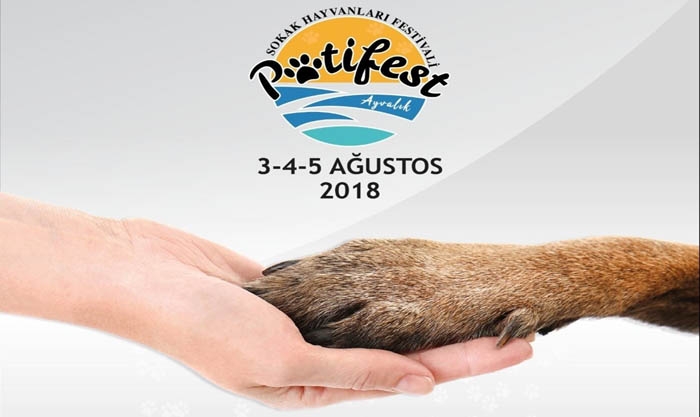 Türkiyeʹde ilk sokak hayvanları festivali Patifest Ayvalıkʹta düzenlenecek